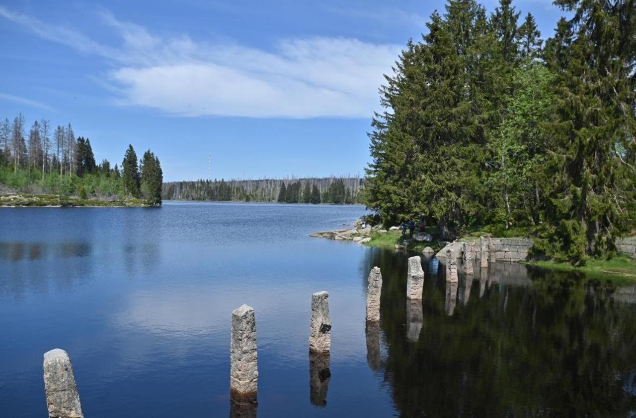 Mitten In Braunlage Mit Tollem Ausblick Exteriör bild